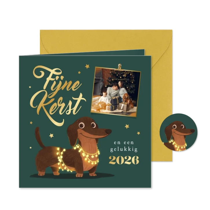 Kerstkaart foto teckel sterren goud fijne kerst lampjes