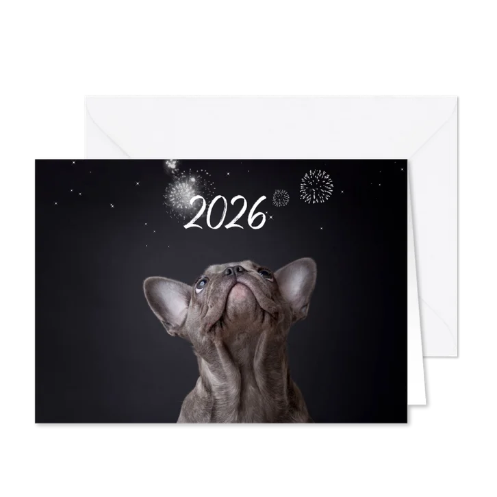 Kerstkaart - Franse Bulldog vuurwerk