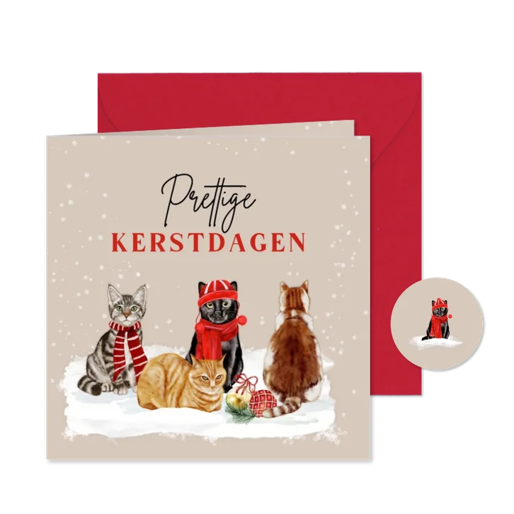 Kerstkaart katten in de sneeuw