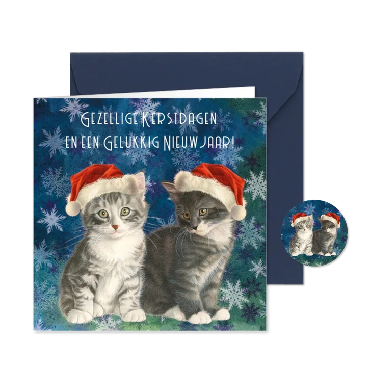 Kerstkaart kittens in blauw