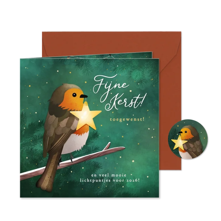 Kerstkaart met roodborstje op tak met ster lichtje