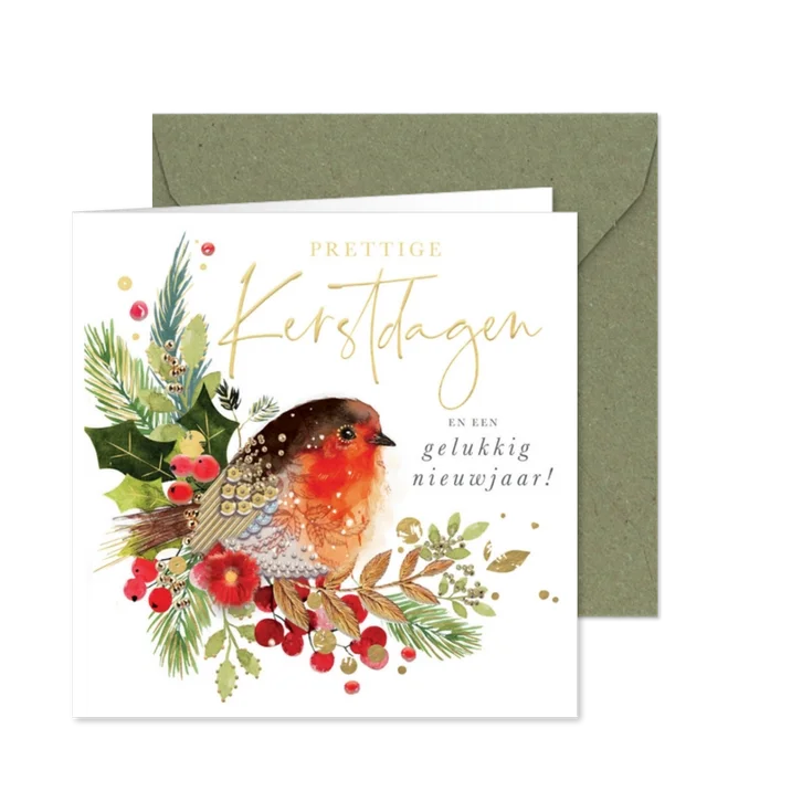 Kerstkaart met roodborstje takjes Robins