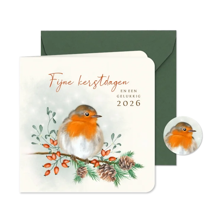 Kerstkaart roodborst met dennenappels