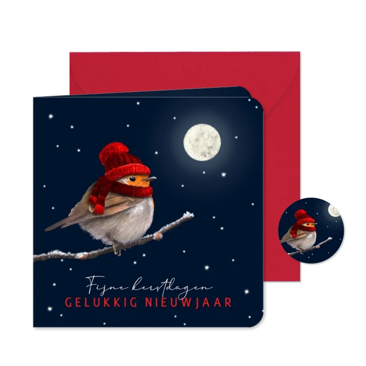 Kerstkaart roodborst rode muts en maan