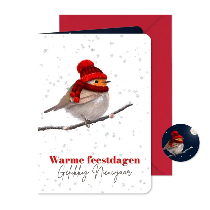 Kerstkaart roodborst rode muts