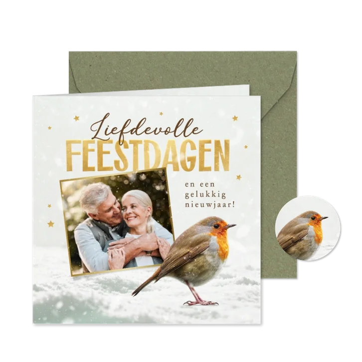 Kerstkaart roodborstje foto fijne feestdagen sneeuw