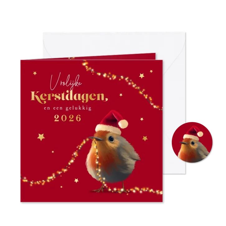 Kerstkaart roodborstje lampjes sterretjes goud kerstmuts