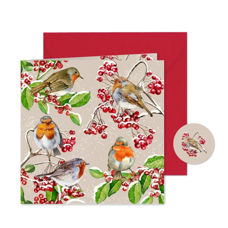 Kerstkaart roodborstjes in de winter op takjes