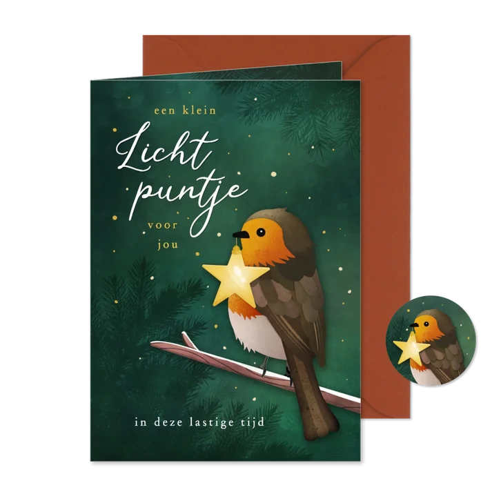  Kerstkaart sterkte lichtpuntje ster met roodborstje