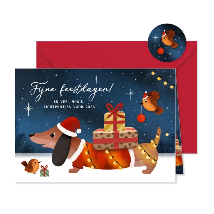 Kerstkaart teckel met lampjes, sneeuw en roodborstje