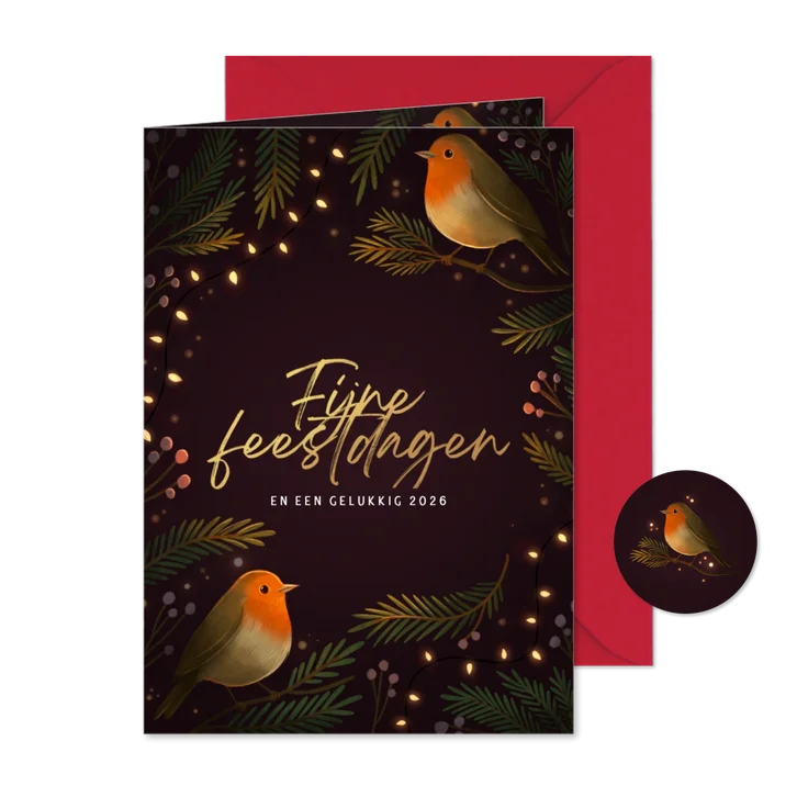 Kerstkaart twee roodborstjes met kerstlampjes