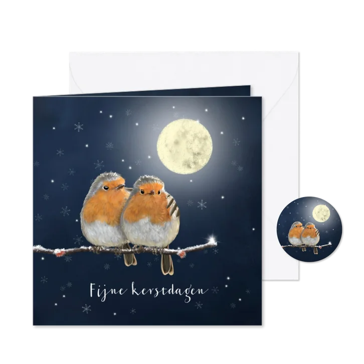 Kerstkaart twee roodborstjes op besneeuwde tak