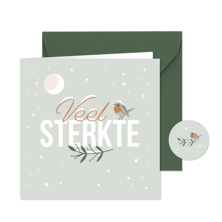 Kerstkaart 'Veel sterkte' roodborstje in de sneeuw
