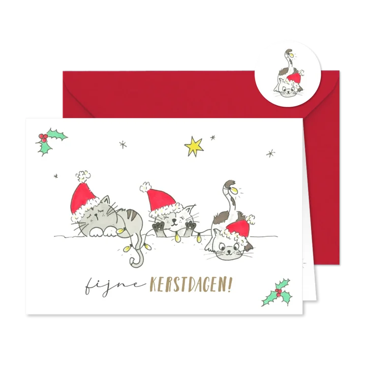 Kerstkaart - Vrolijke katten met kerstelementen