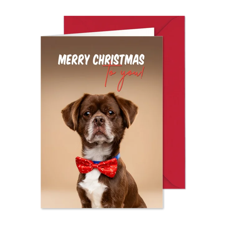 Leuke kerstkaart van hondje met kerststrik