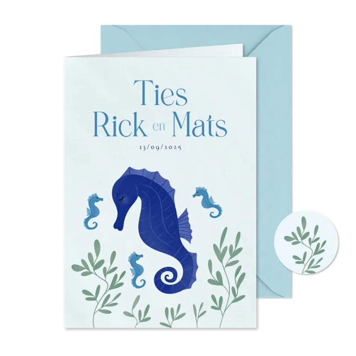 Lief blauw geboortekaartje meerling met zeepaardjes