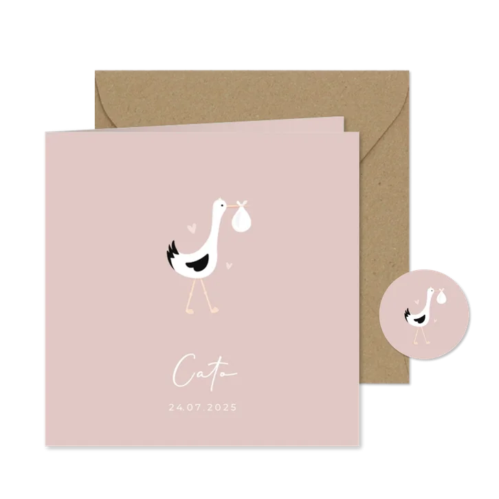 Lief en hip geboortekaartje met illustratie van een ooievaar