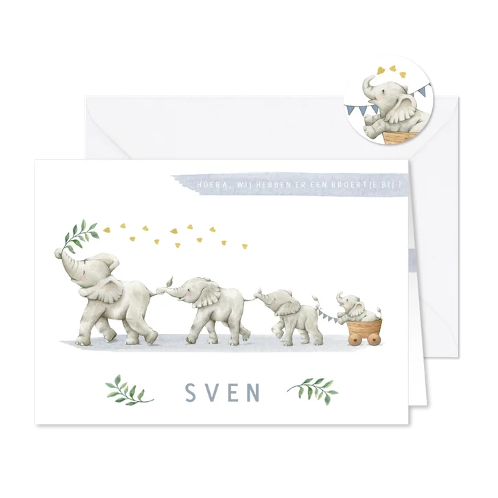 Lief geboortekaartje broertje met vier vrolijke olifantjes