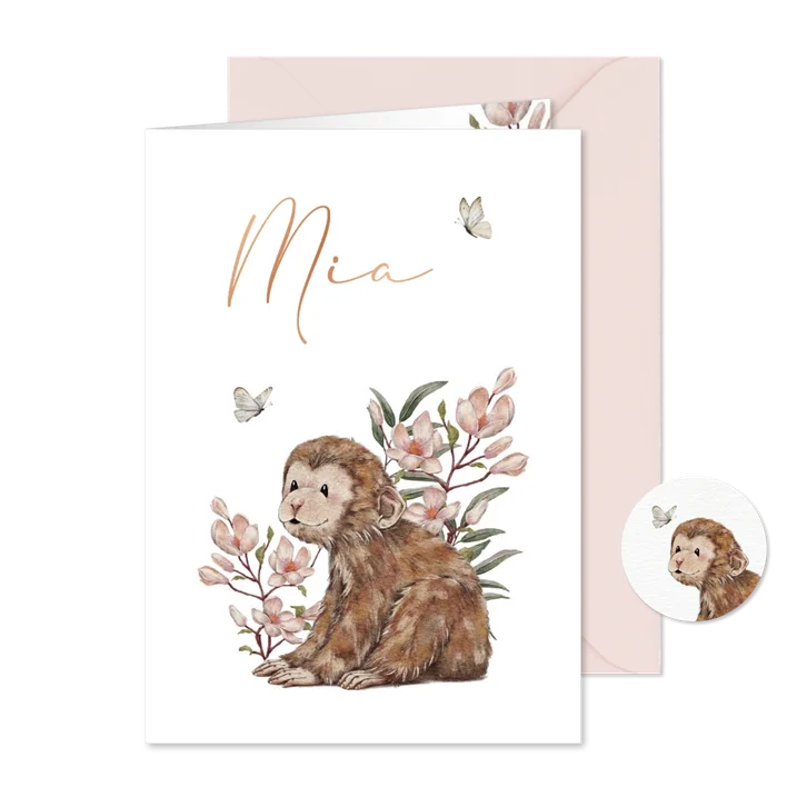 Lief geboortekaartje meisje met aapje en vlinder