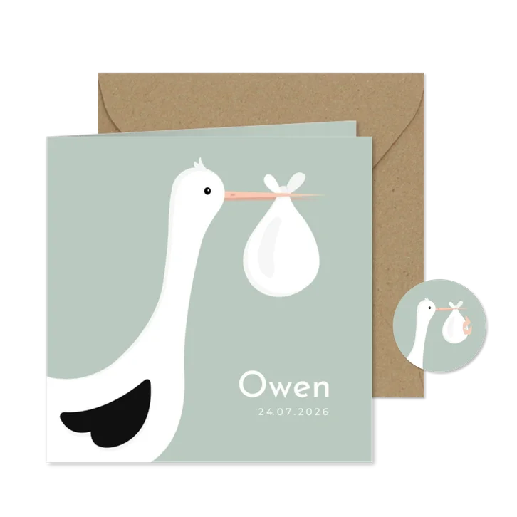 Lief geboortekaartje met ooievaar en baby jongen