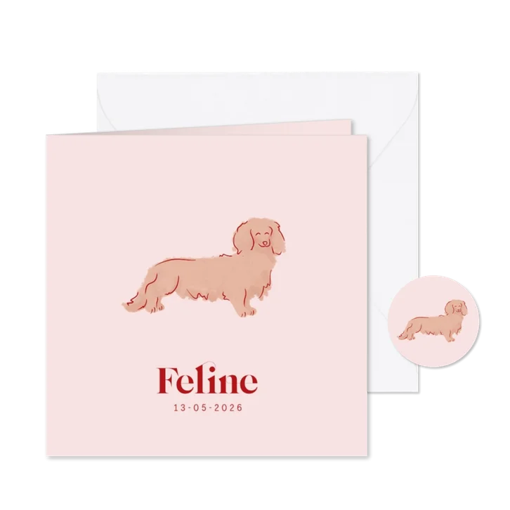 Lief geboortekaartje met teckel hondje in roze