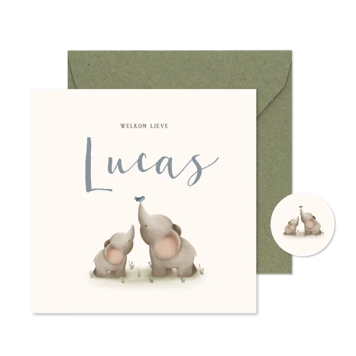 Lief geboortekaartje voor een jongen met twee olifantjes