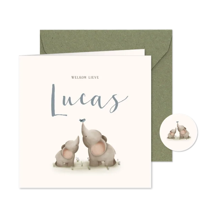 Lief geboortekaartje voor een jongen met twee olifantjes