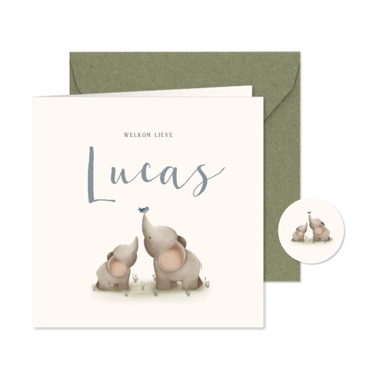 Lief geboortekaartje voor een jongen met twee olifantjes