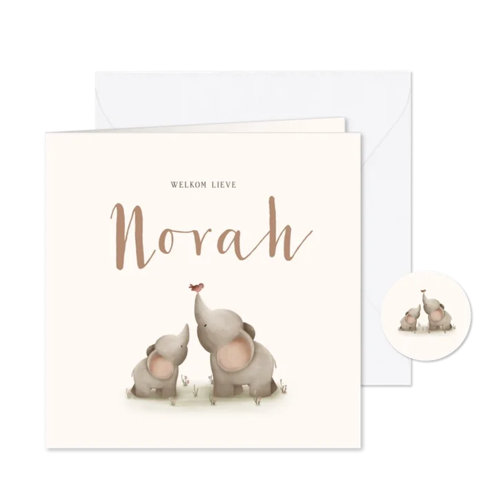 Lief geboortekaartje voor een meisje met twee olifantjes