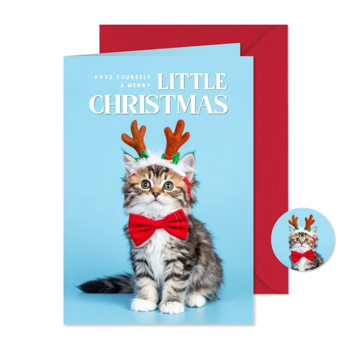 Lief kerstkaartje lichtblauw met kerst kitten