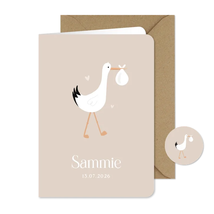 Lief unisex geboortekaartje met illustratie van ooievaar