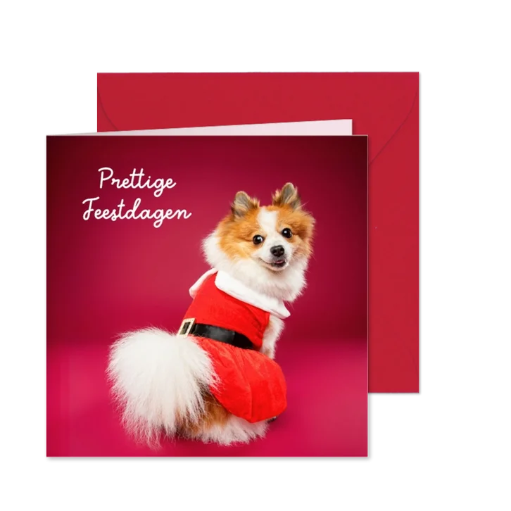 Lieve, grappige kerstkaart van hondje met kerstpakje