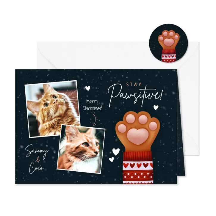 Lieve kerstkaart Stay Pawsitive, kattenpootje en foto's