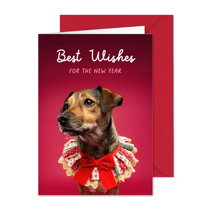 Lieve kerstkaart van hondje met kerstkraagje aan