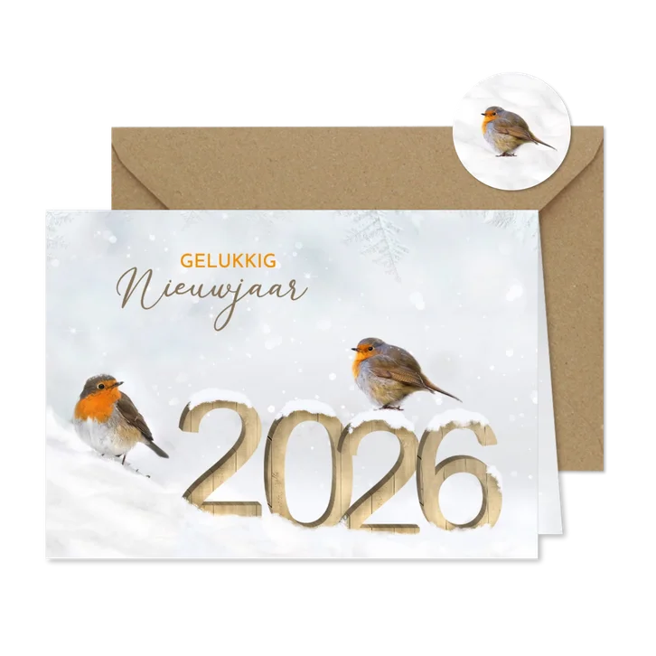 Nieuwjaar houten cijfers in de sneeuw met roodborstjes