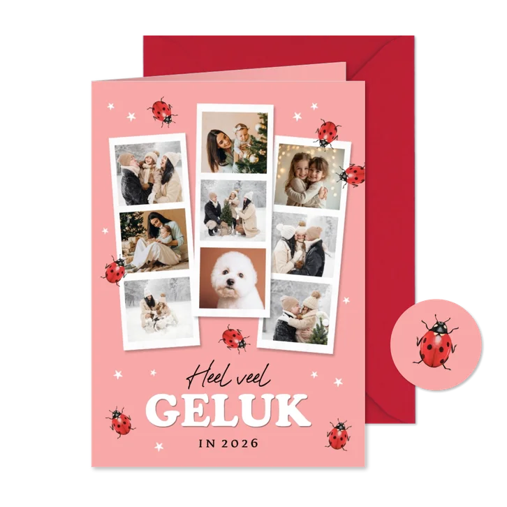 Nieuwjaarskaart geluk fotocollage lieveheersbeestjes sterren