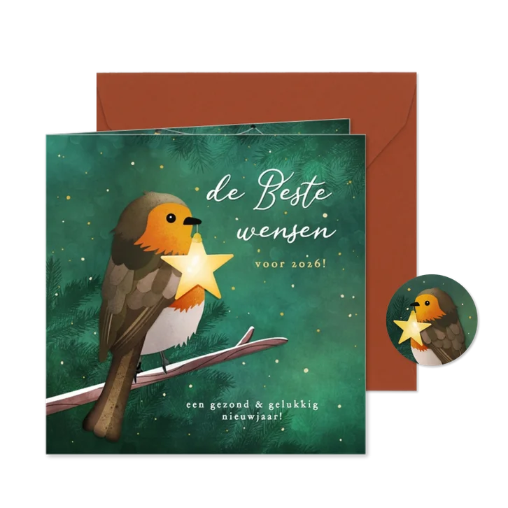 Nieuwjaarskaart met roodborstje en ster