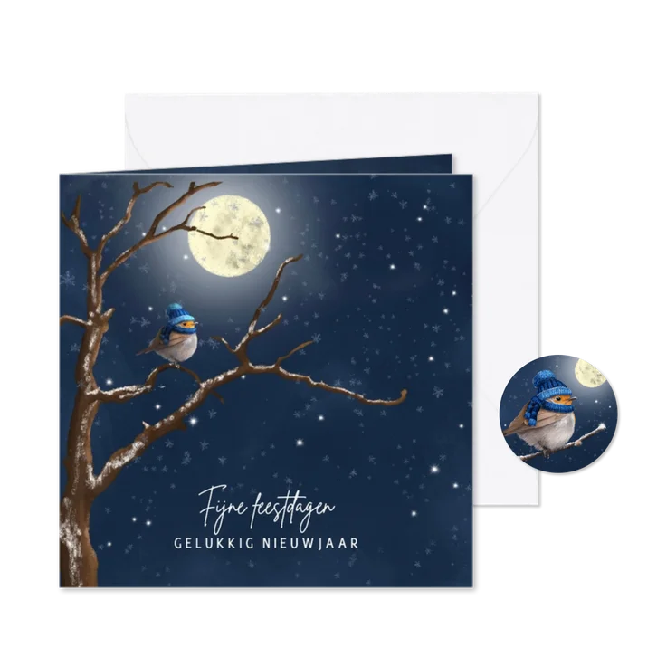 Nieuwjaarskaart roodborst met muts in boom