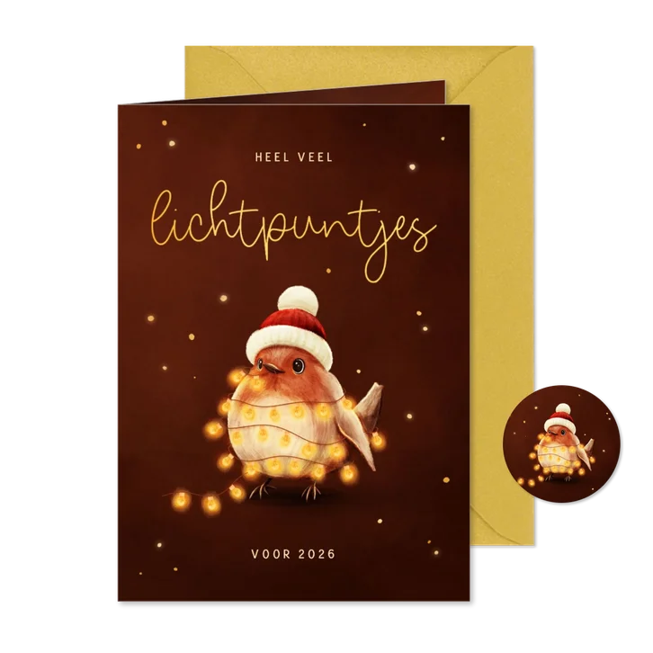 Nieuwjaarskaart roodborstje met lampjes lichtpuntjes 