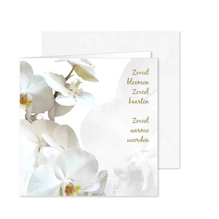 Rouw bedankt Orchidee - hemels wit
