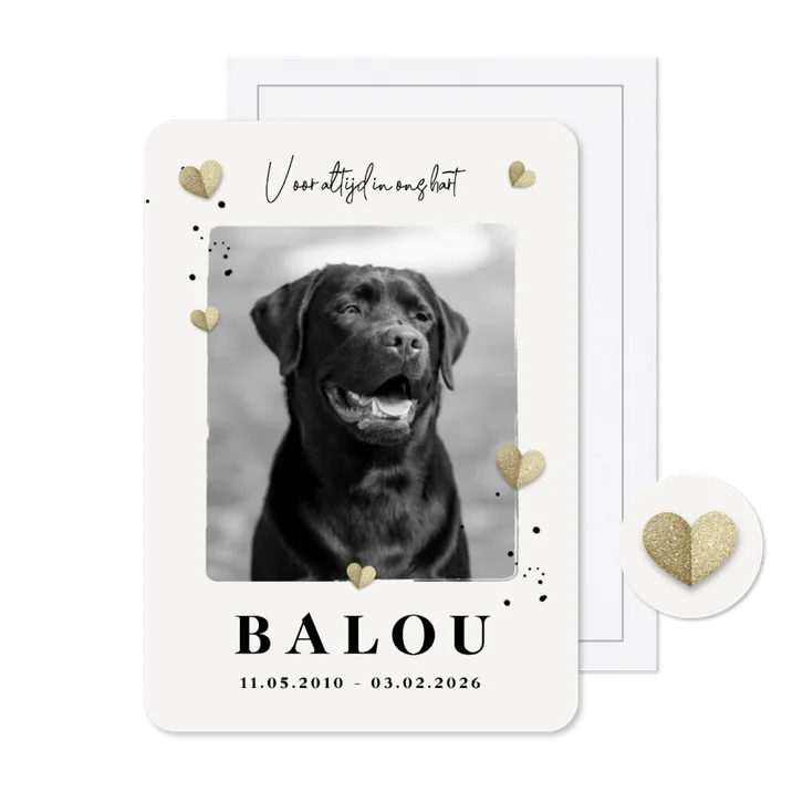 Rouwkaart hond hartjes foto stijlvol