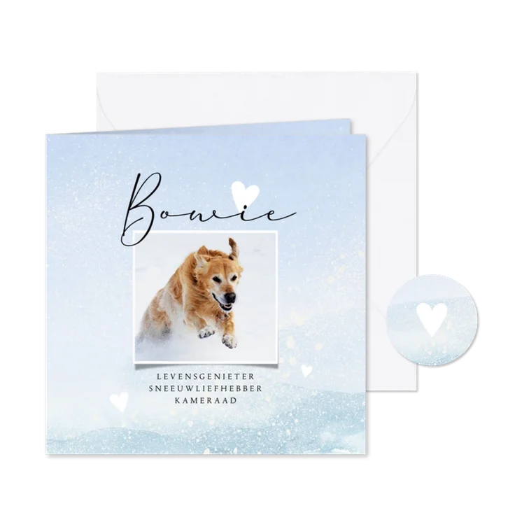 Rouwkaart huisdier thema sneeuw aquarel met hartjes