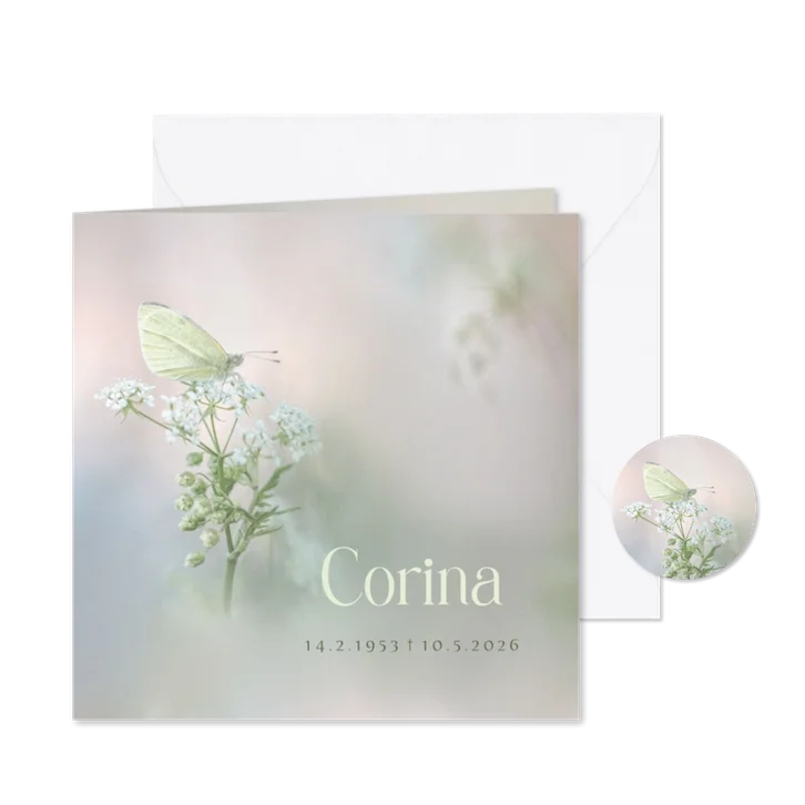 Rouwkaart koolwitje op fluitenkruid