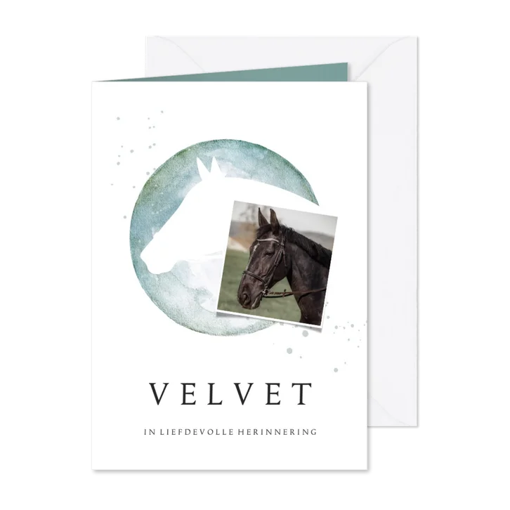 Rouwkaart paard silhouet waterverf foto