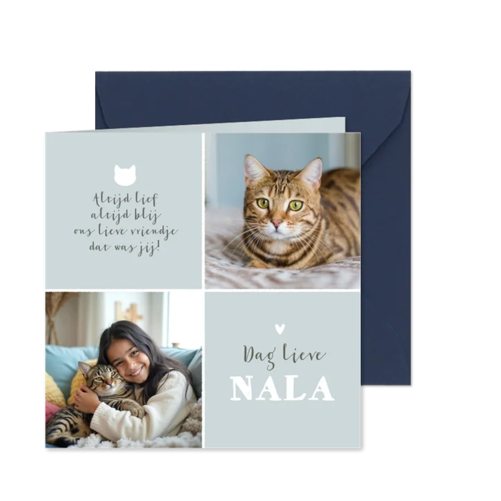 Rouwkaart poes kat foto liefdevol fotokaart