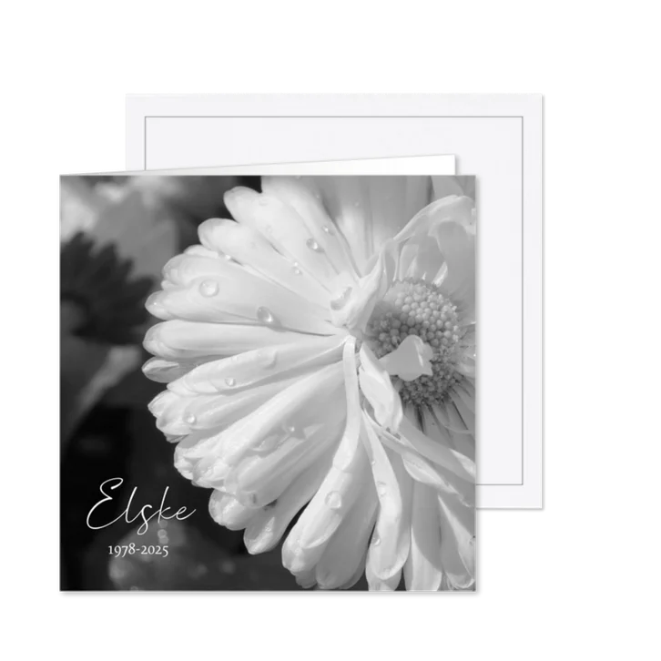 Rouwkaart - Witte bloem dauwdruppels