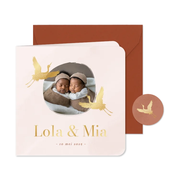 Roze geboortekaartjes tweeling met foto gouden kraanvogel