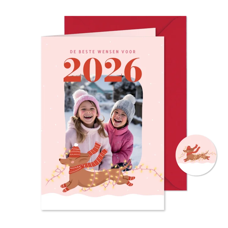 Roze nieuwjaarskaarten met foto, teckel en lampjes