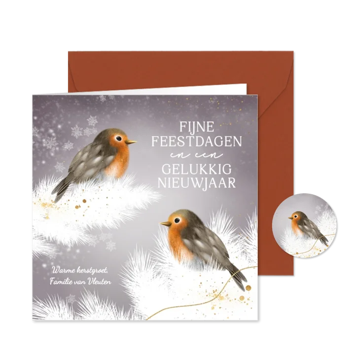 Schattig kerstkaartje roodborstjes in de winter