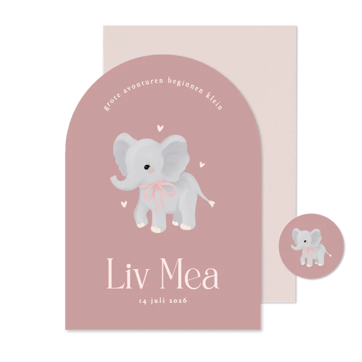 Schattig roze geboortekaartje boog met olifantje meisje